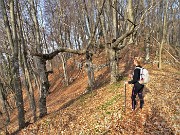 16 Quella pianta mi ispira 
